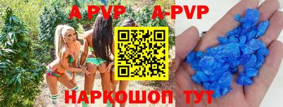 apvp Кингисепп