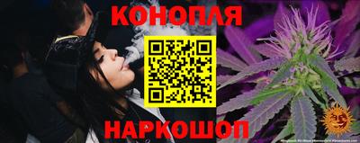 apvp Кингисепп