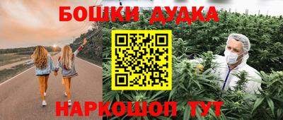 apvp Кингисепп