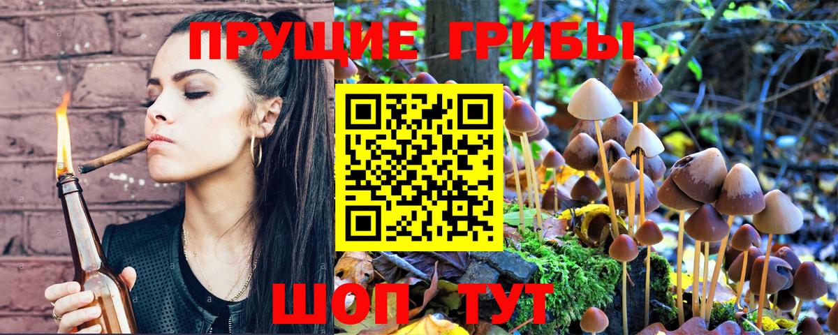 Кандалакша  Псилоцибиновые грибы GOLDEN TEACHER  Вход с VPN  Галлюциногенные грибы мухоморы 