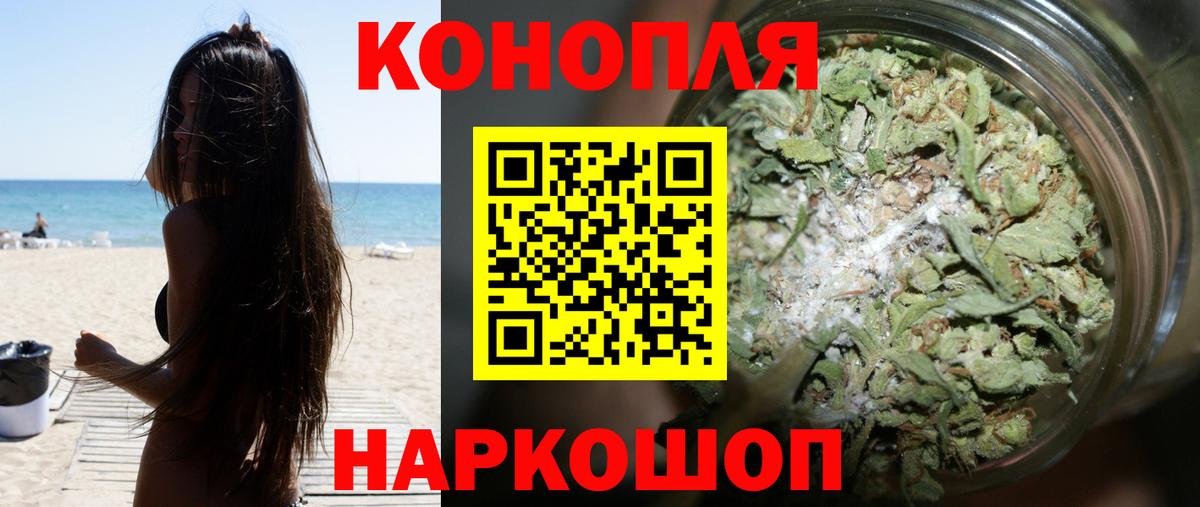 Бошки Шишки планчик Кандалакша